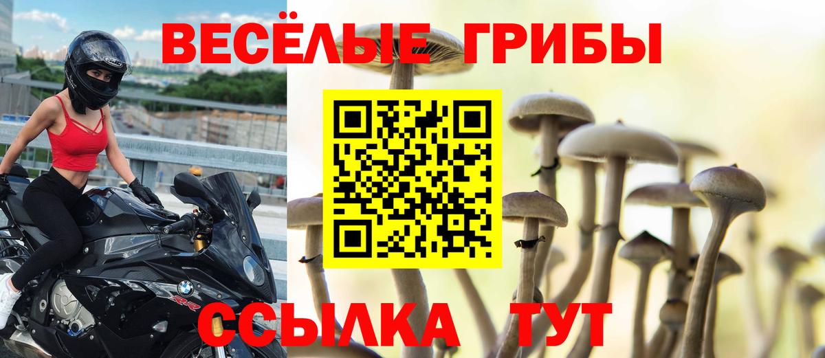 Галлюциногенные грибы GOLDEN TEACHER  Вход с VPN  Псилоцибиновые грибы прущие грибы  Волгодонск 